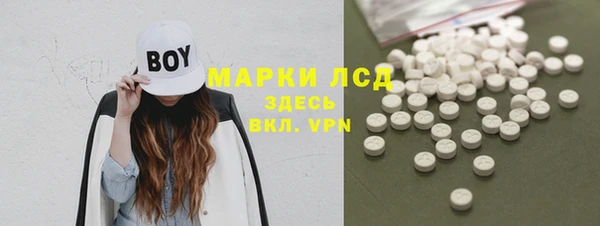 спайс Верея