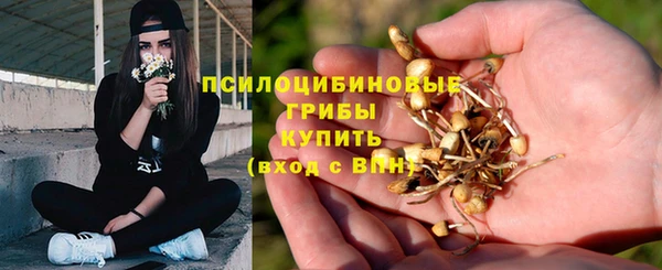 ALPHA PVP Верхний Тагил