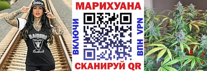 Конопля сатива  закладки  Гурьевск 